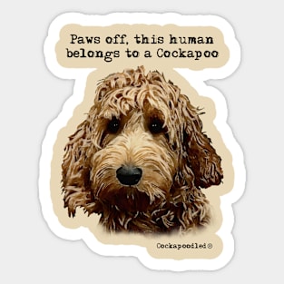 Cockapoo Dog Sticker